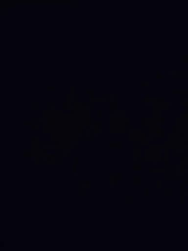 اسپوکی