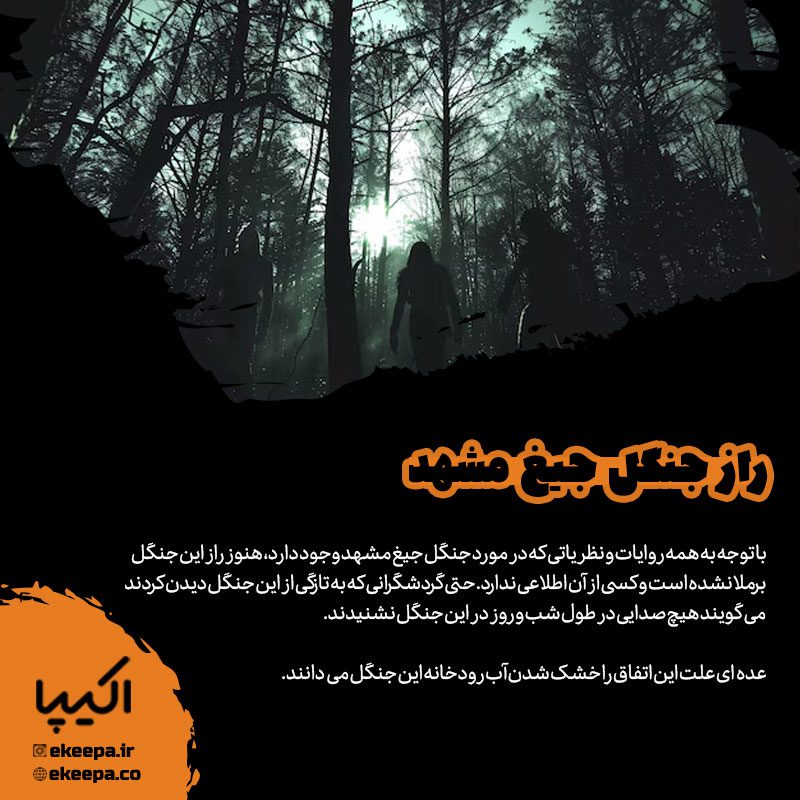 راز جنگل جیغ مشهد