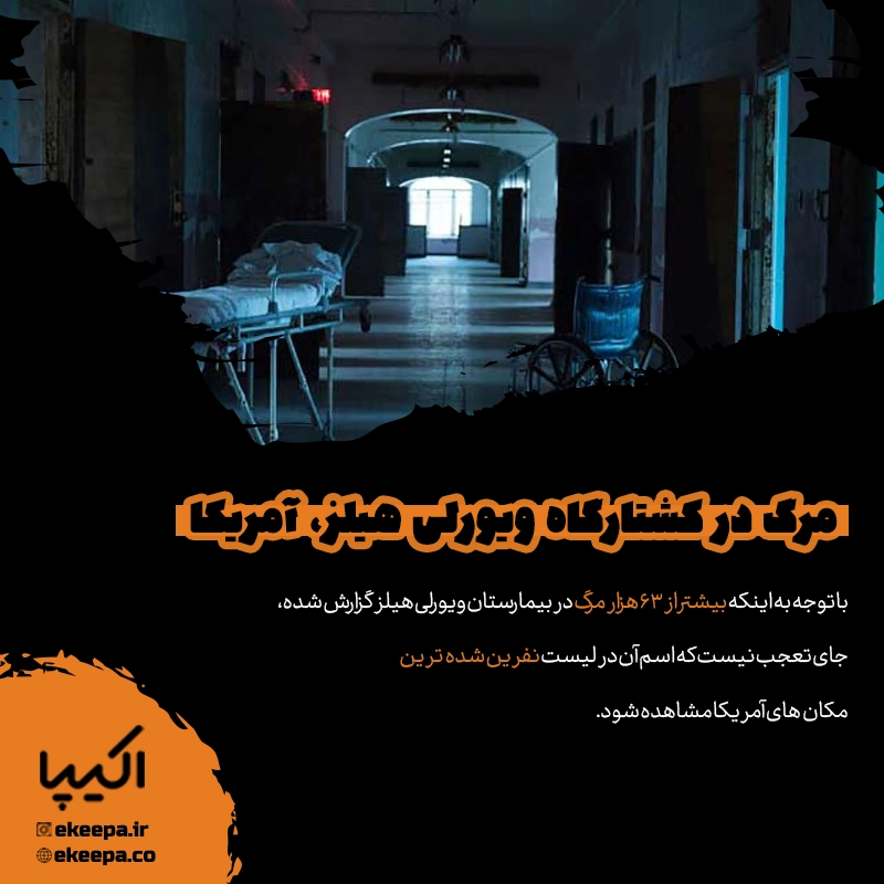 مرگ در کشتارگاه ویورلی هیلز آمریکا
